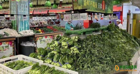 江蘇蔬菜價格小幅上揚，新鮮蔬菜零售市場動態分析